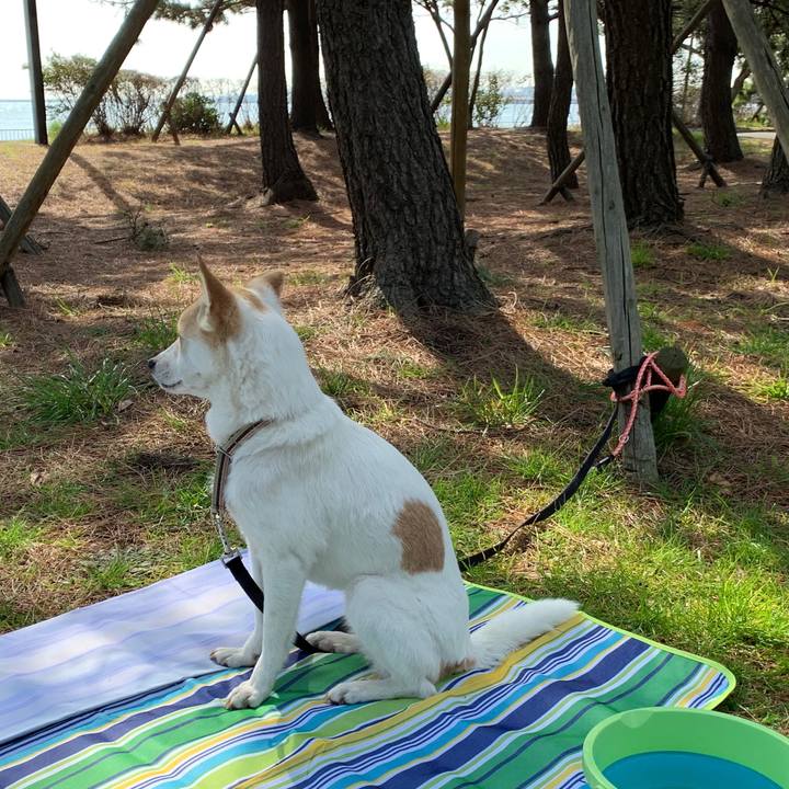 Ba344077 400d 4898 8ba2 e131cab7884b 1583413783909