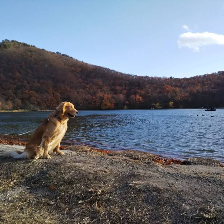 Ba34538a 8da8 4b1a 8476 f9c33366c437 1541930349238