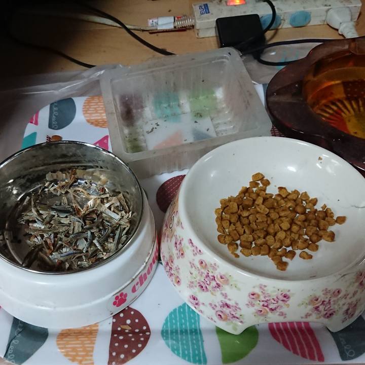 Ba347a0e 5eb5 46fd aefa 0e68ab8d6c54 1597030220039