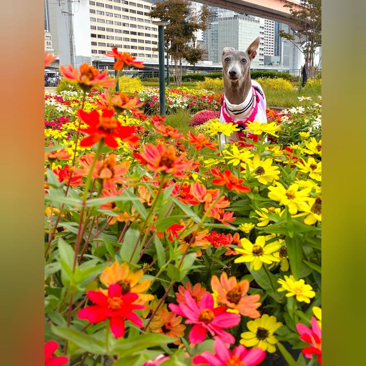 Ba349666 bb0b 4d9f 830f 70412a2e7ed6 1762424505575