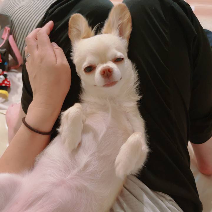 Ba34b226 d875 47fe ad71 0252ec7ac9ae 1759926615353