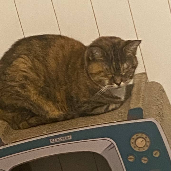 Ba34ba4f b5c4 4e00 ba16 de7db8fc022b 1662837915797