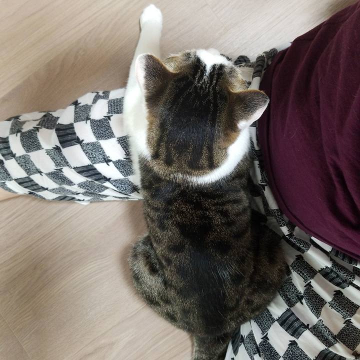 Ba354403 f345 4409 9ba4 4b333806287e 1559683194984