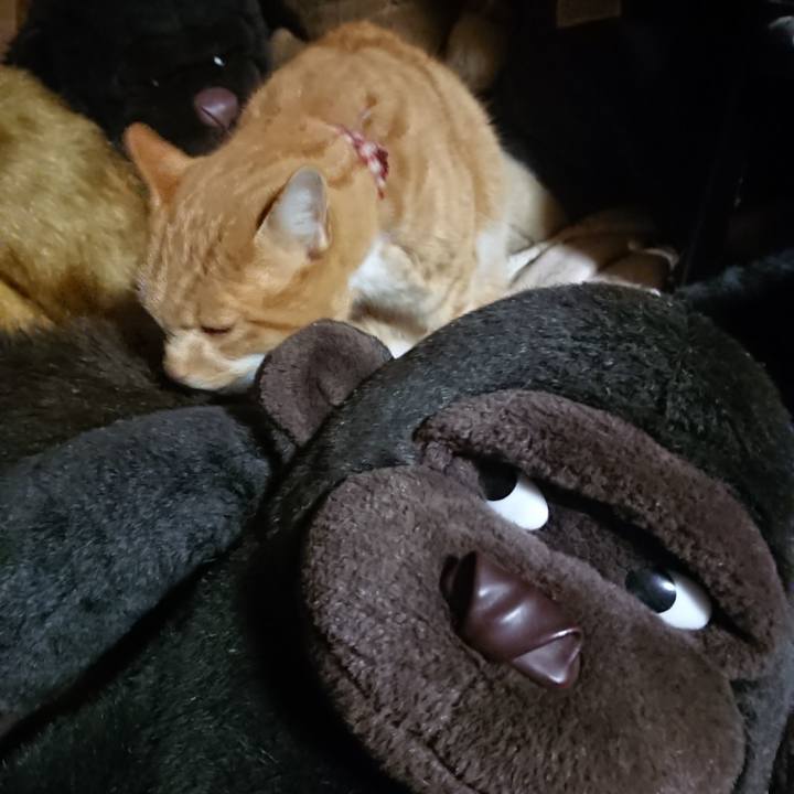 Ba354533 1288 4d22 92b6 97d090a714c6 1607940556214