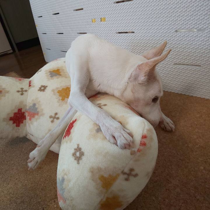 Ba355b2b bbd2 4d1e b8d2 d2ebf5c6a5fc 1597968518762