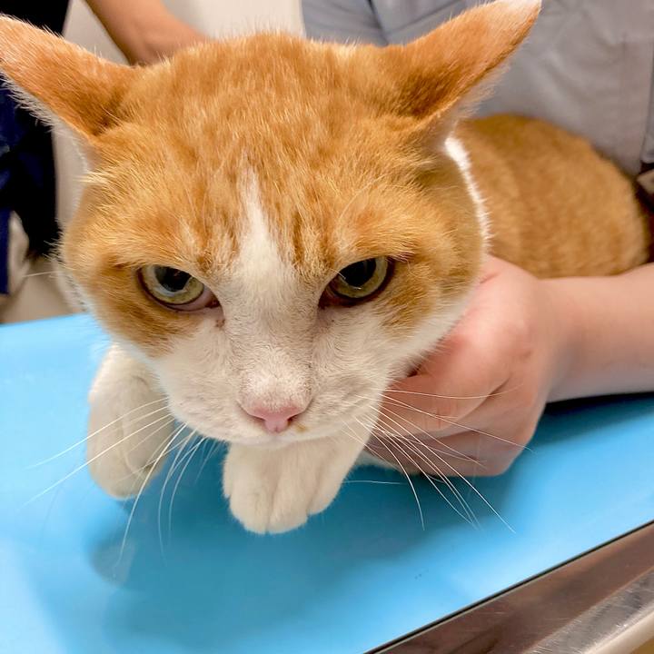 Ba3561af bec1 450c a3b2 04e77d729b95 1663831016861