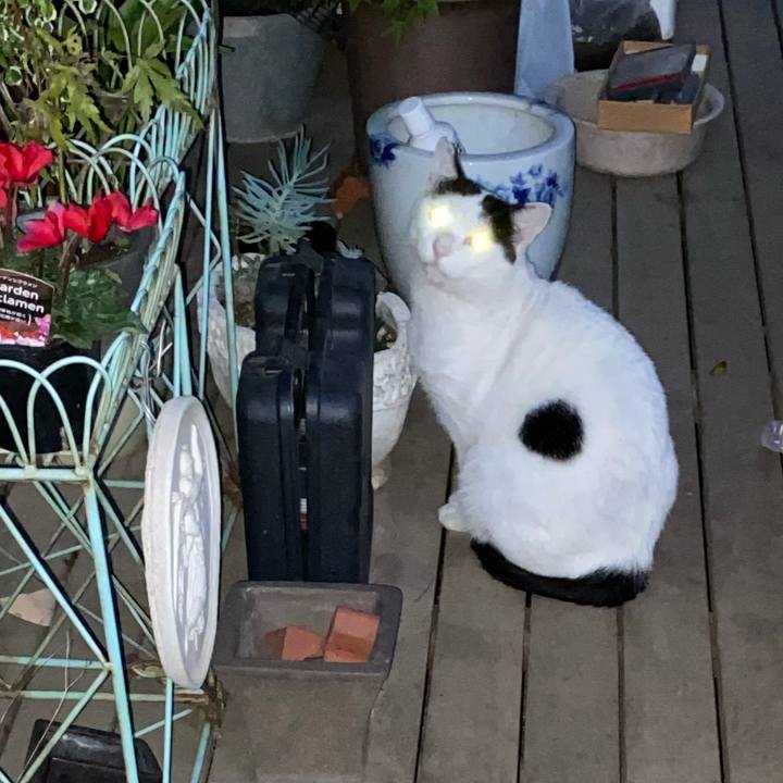 Ba358aaf e397 4a72 819a e3dbf398c787 1635067865138