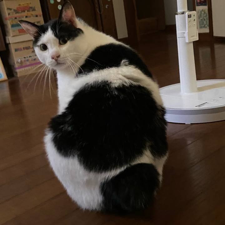 Ba35d062 8b79 43b5 a9f8 b1e2352b35db 1599221909961