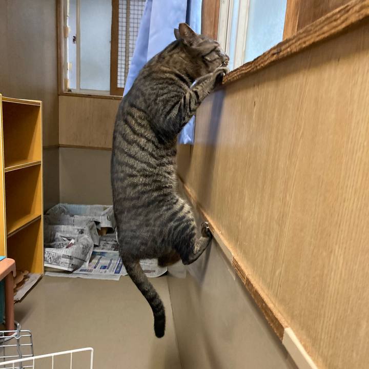 Ba360cb6 2c3c 4091 91bb 151edc1112c6 1669019828786