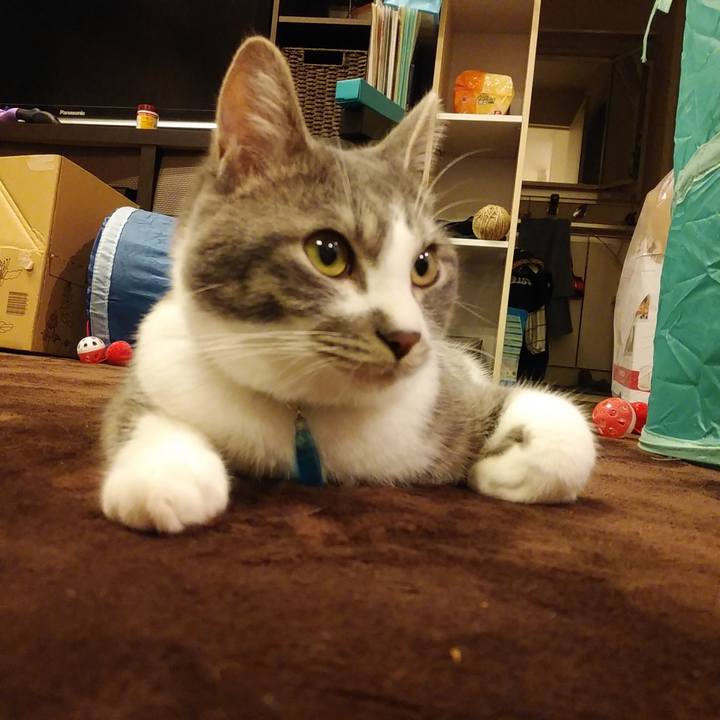 Ba36e288 3714 42be a701 3c9cce60cc3e 1579510506529