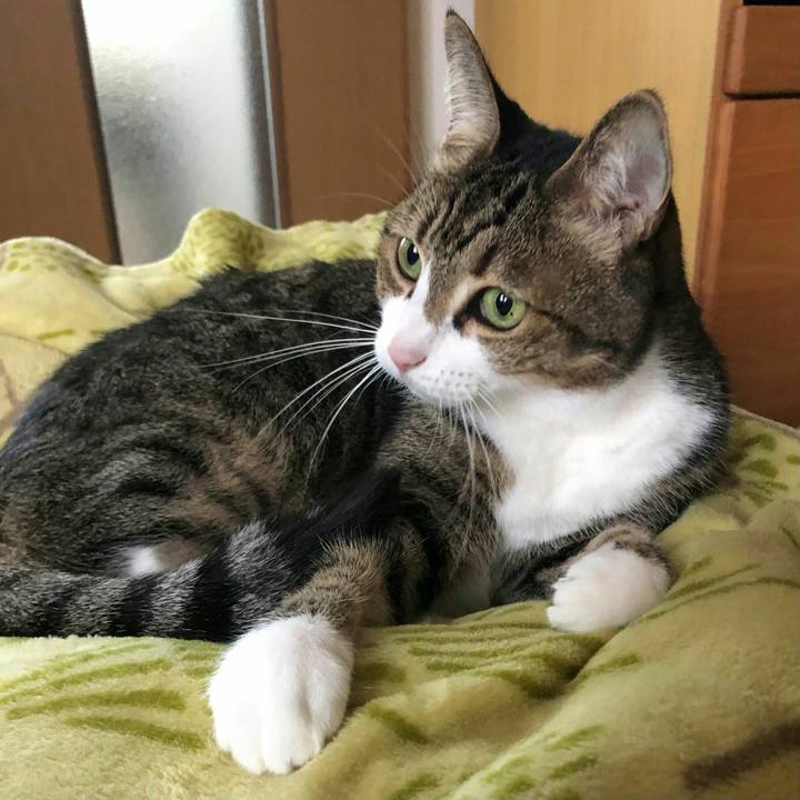 Ba375d9b c64c 4b60 9f6b 19b5736e6fd5 1604717780973