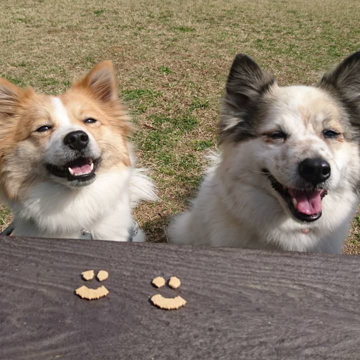 Ba3769bd 29a2 4cde a3f4 b230a518dba2 1553519551358