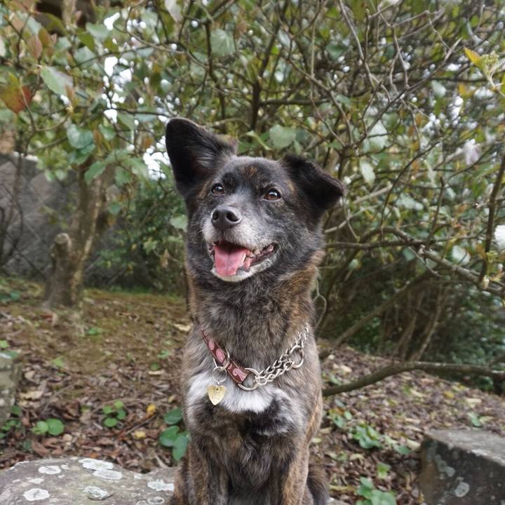 Ba378a28 3dab 45e7 be8e af9fb201ac7e 1524488774409