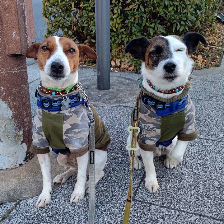 Ba37b49d de72 43b7 b6bb 06053a68207b 1644188077154