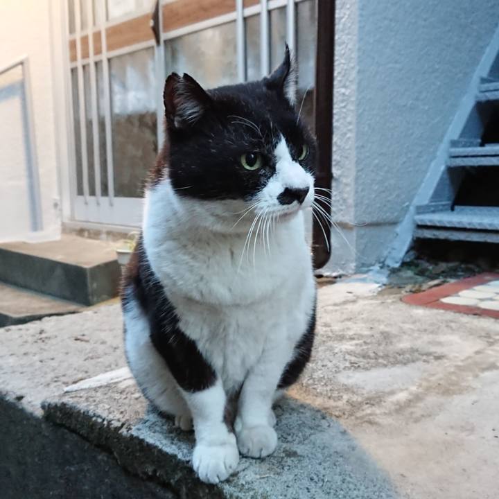 Ba37baf6 064b 4121 888c 06c74afb133f 1642238162995