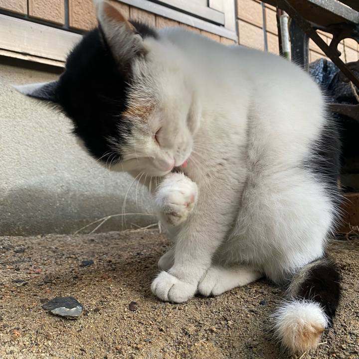 Ba37de5e c5e7 4eda a7d2 dde6e416d618 1641767283169