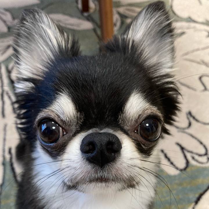 Ba381f7d 7c3f 4593 9438 827edbed0351 1626475823173