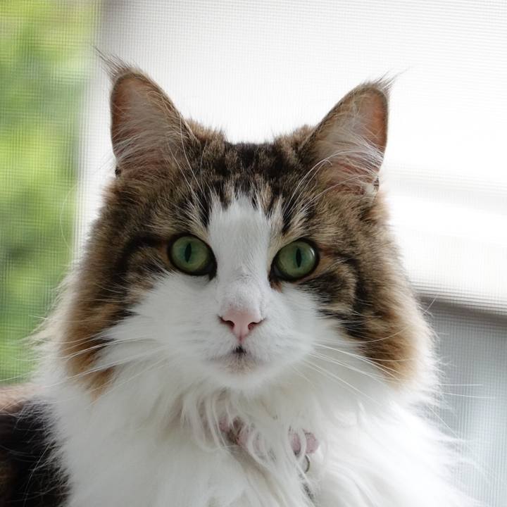 Ba3845a4 57fb 4186 a4fb 7cea56a6d11c 1587982971492