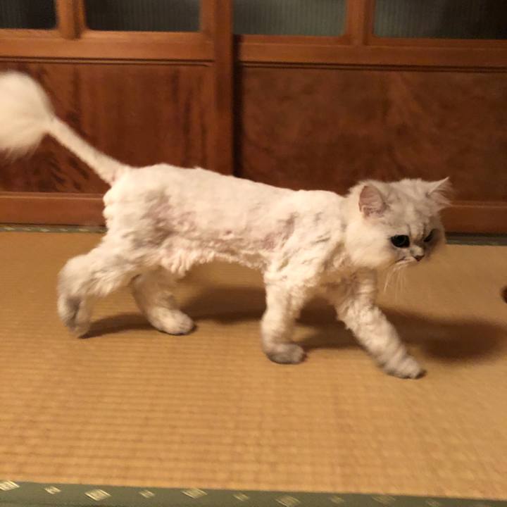 Ba387a90 df90 4d17 a3a8 f5950503aa95 1558003382712