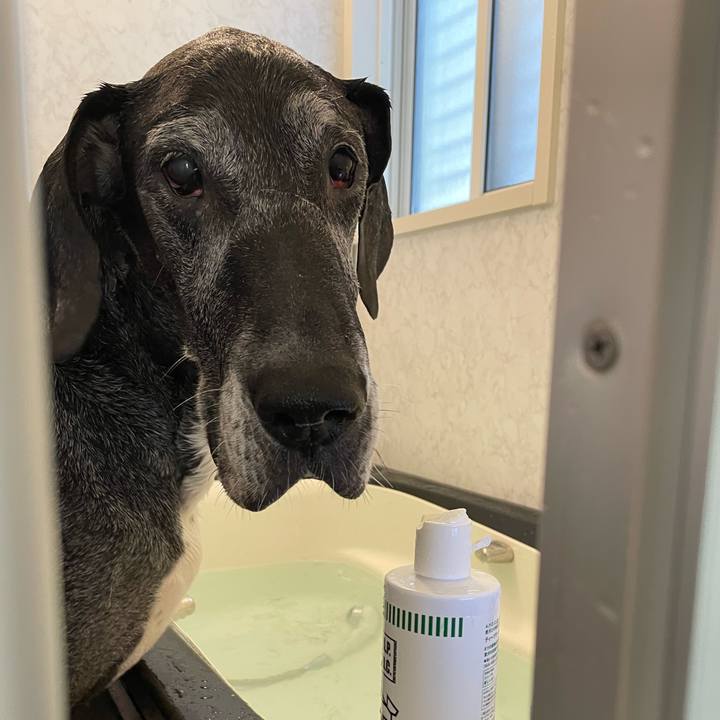 Ba3881ab d017 4595 b9ff fe8491964015 1641689525025