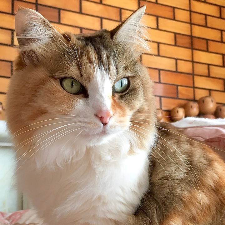 Ba38df59 dccf 46d7 9723 bc804b38858e 1583135661460