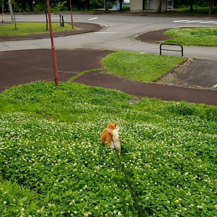 Ba38e4e6 d8f4 4d06 b1cf cf48055bd92a 1686545992235