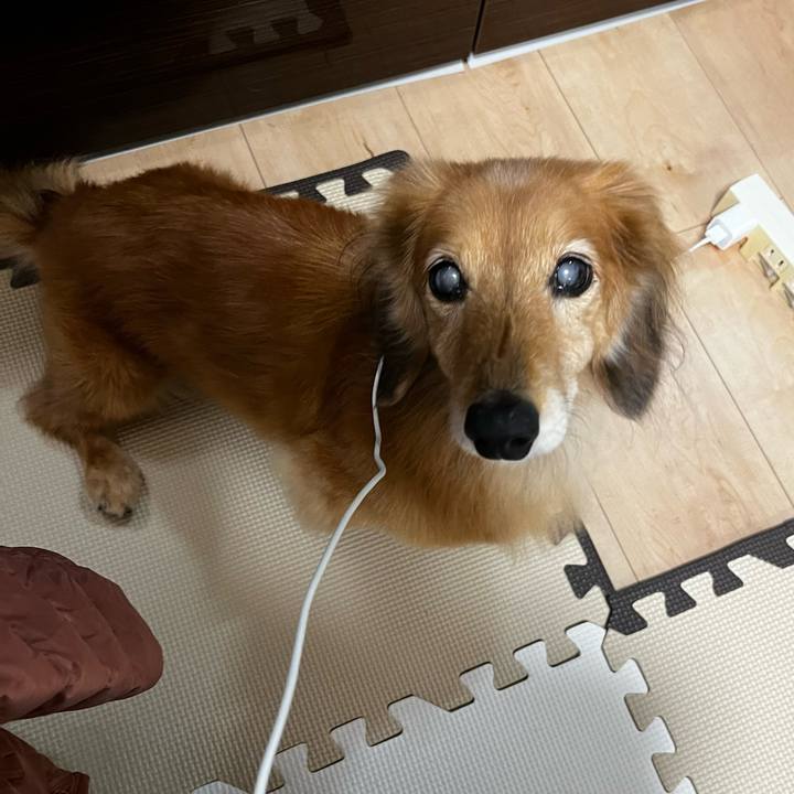 Ba38f40b a1ab 4b9c a56a 9e5dd71d7745 1667478994080