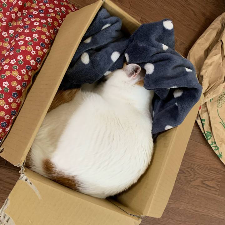 Ba393541 3ca3 4761 95d4 1531da5ccb02 1637274547240