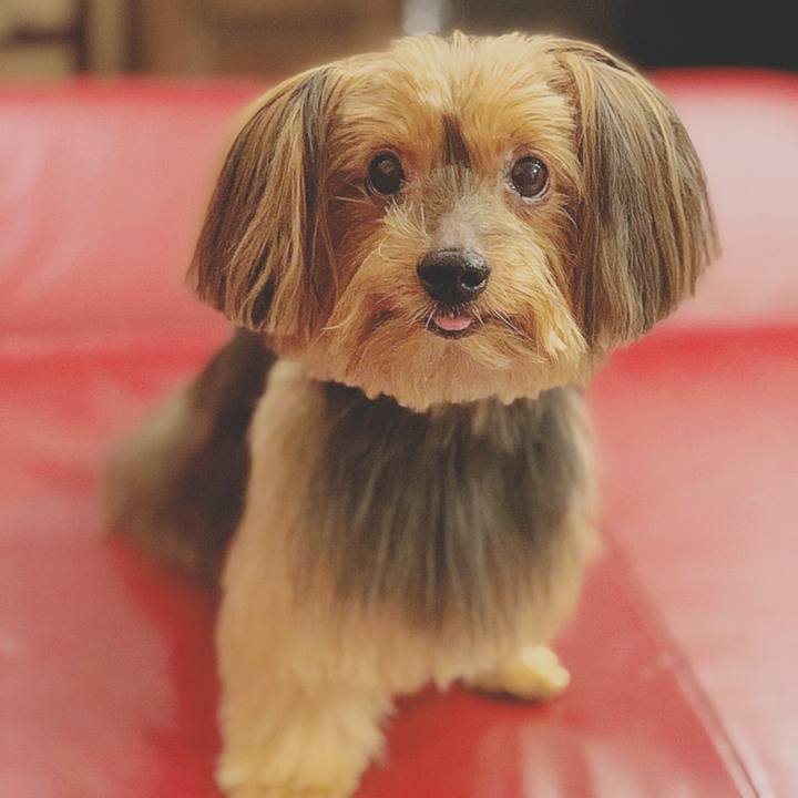 Ba396c5e 3bf0 486a a5c5 06b671902d7e 1560831615598