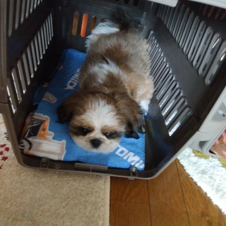 Ba397ec2 da6d 4577 8c7a 112b3820d625 1536891210386