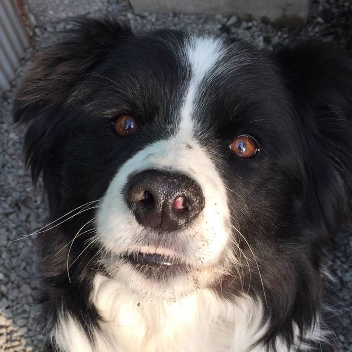 Ba398bdf 5a76 45cf aef3 4ce1d762db5b 1550017719336