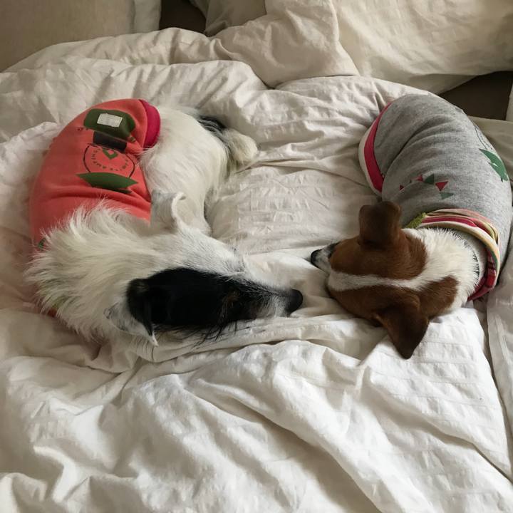 Ba39b431 ffee 4a25 abd4 bf609137a974 1507987921093