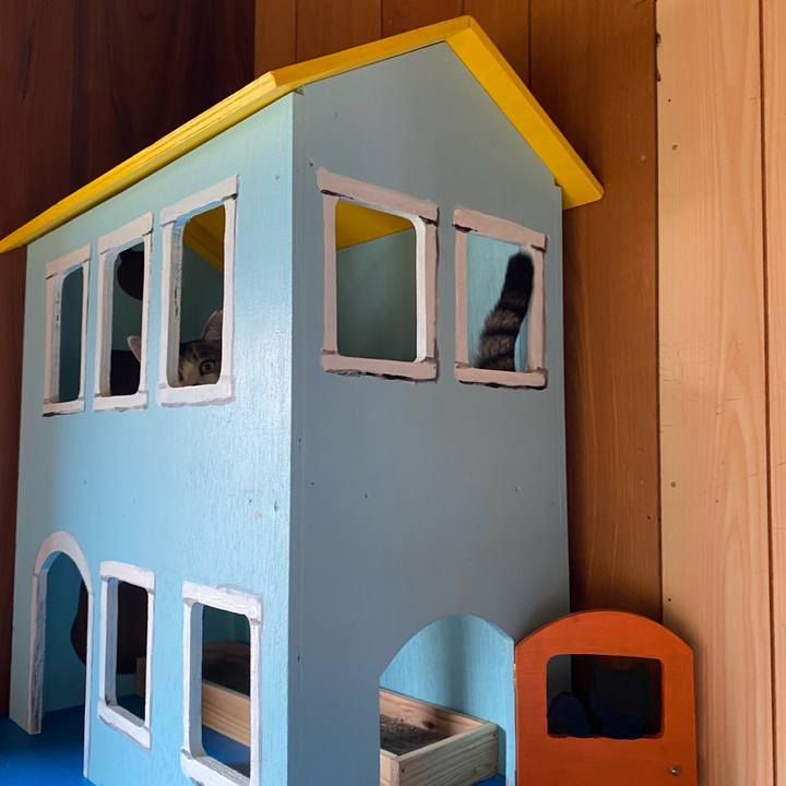 Ba39c592 3675 406e b367 c3e600a54e6d 1728981831851