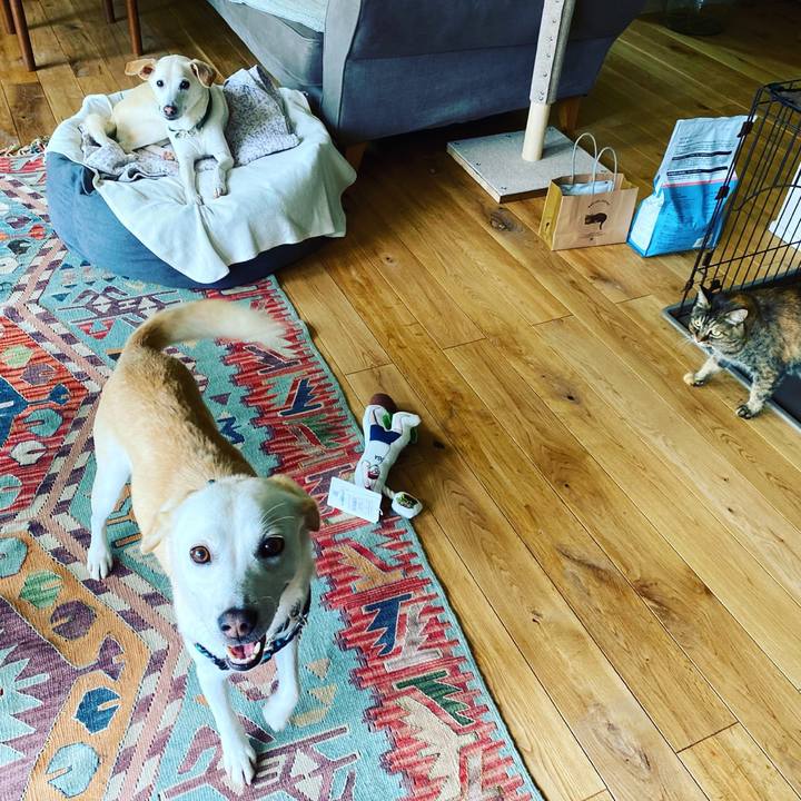 Ba39c730 af0f 46d2 9b5d 5bdf49b47799 1631079932273