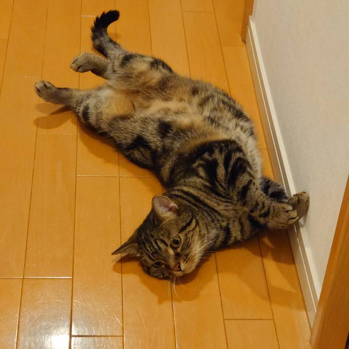 Ba39c93d b2e2 4895 8ab9 9cd112bd670d 1657538630076