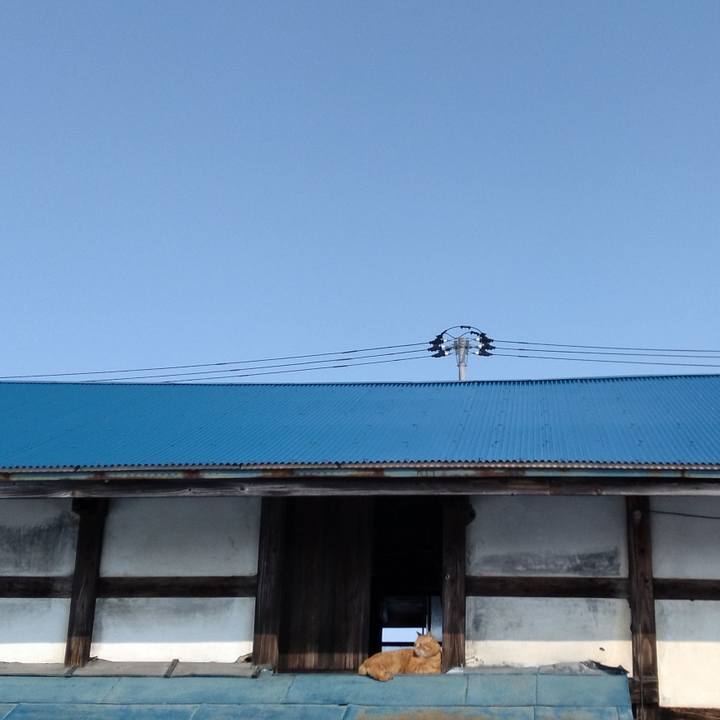 Ba39de1a 8e12 4a82 8ea4 becdbf9dd45d 1675821520564