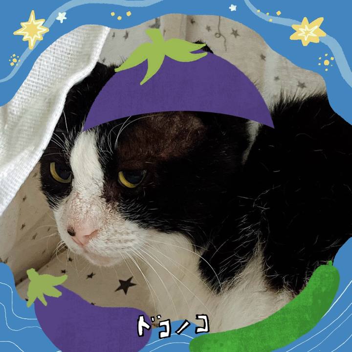 Ba3a8099 0aa3 4e09 bb5b 91b10e738ed1 1755051846867