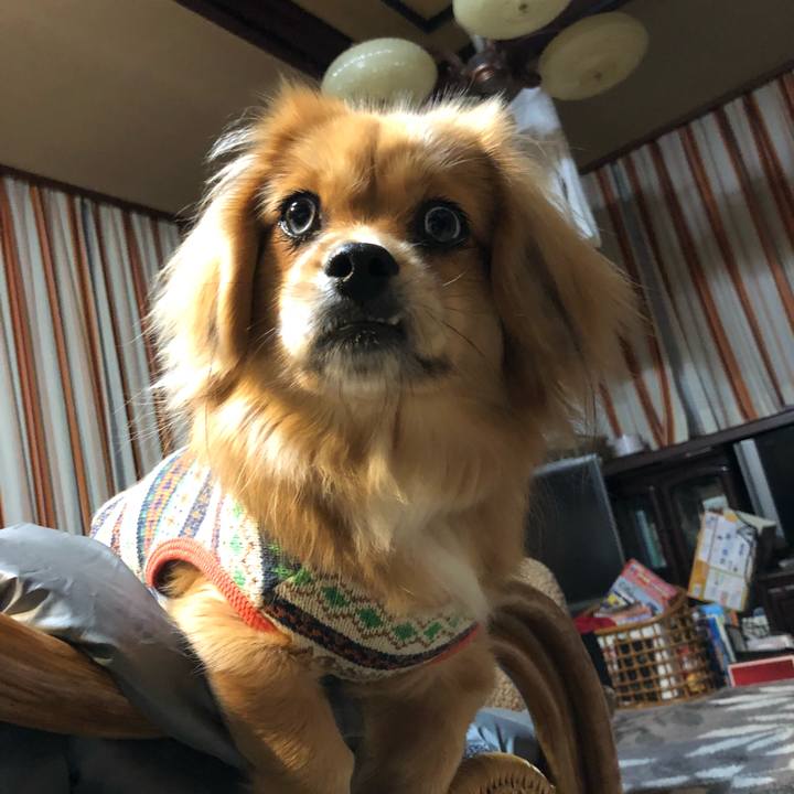 Ba3ae8d3 3b19 4538 8271 6c50408ad061 1517436383780