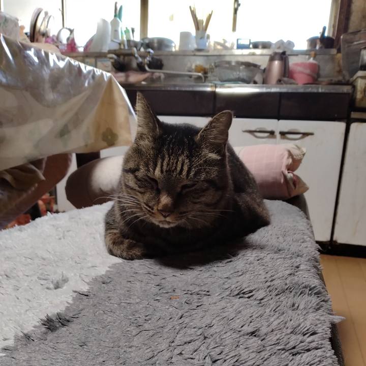 Ba3af563 e411 4e61 927f 0c80500bf292 1666219484546