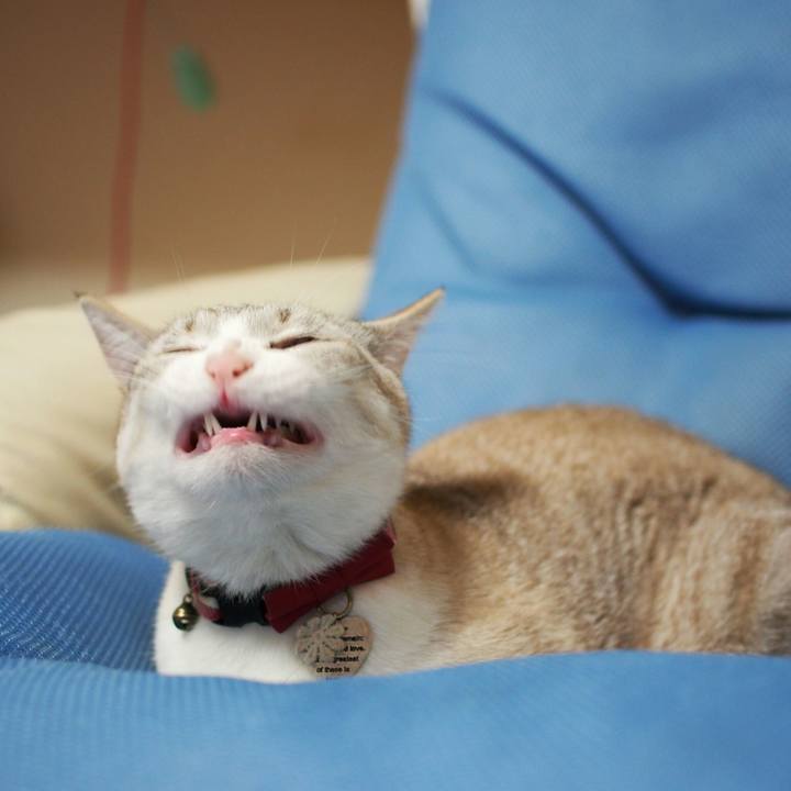 Ba3b1948 d37c 49f1 82f4 204886d011e0 1525012197392