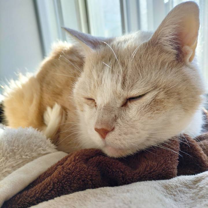 Ba3b4860 031e 4cf8 80a3 f80c824fa327 1698274868886