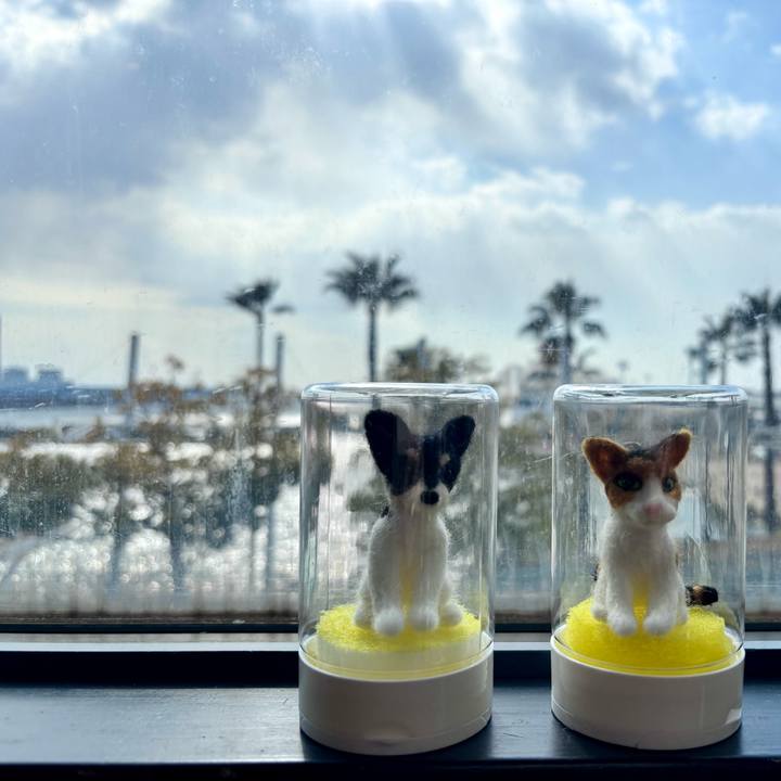 Ba3b6108 6a3e 408f 9a2e e5604e6cd4df 1740199963508