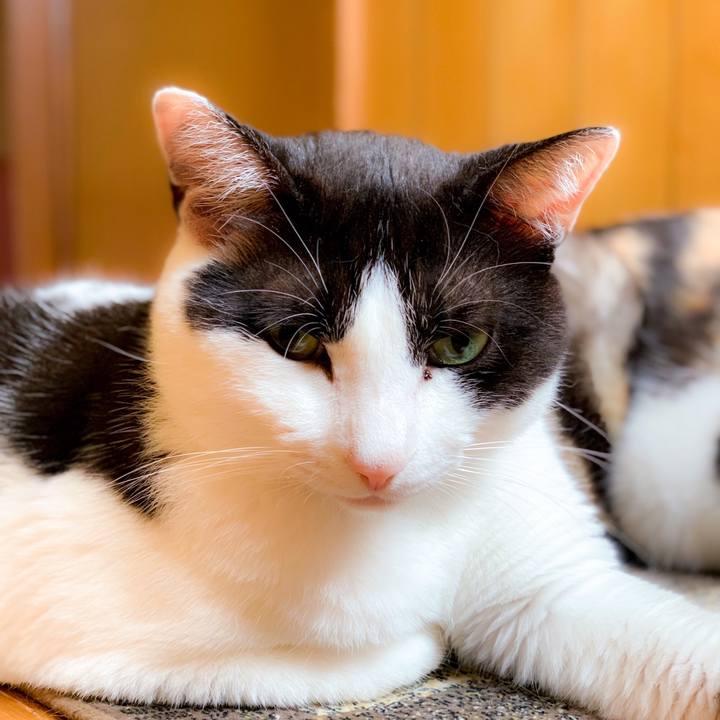 Ba3b6870 cb46 4a89 8e18 f650370fea2d 1562980973449