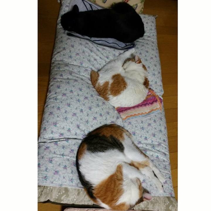 Ba3b8deb 126e 4723 8019 df8ae735e252 1540985864444