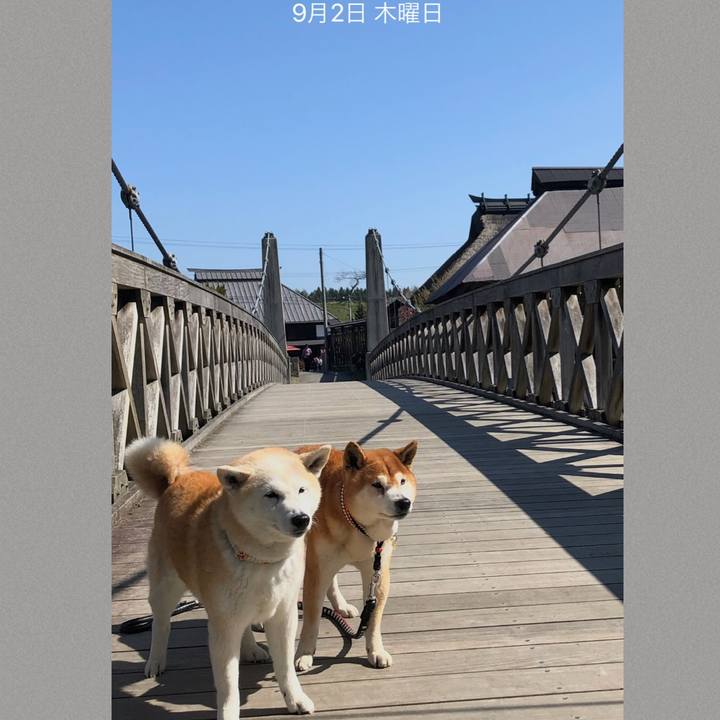 Ba3ba7b9 bc4d 4c7c ad71 d7696cc324ac 1630538051568