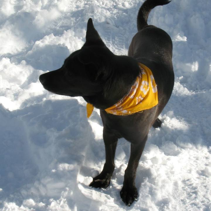 Ba3bbaf0 3023 4c4e af0b 7ebc7a484a02 1526571629312