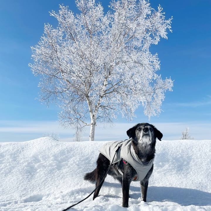 Ba3bf22d 6986 4bd3 a906 03fffd72647d 1770103029161