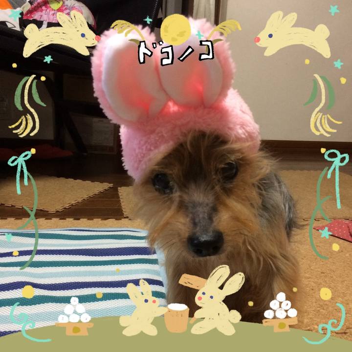 Ba3bf807 5e25 44bf 95aa 3ae71cae85d7 1726813510498