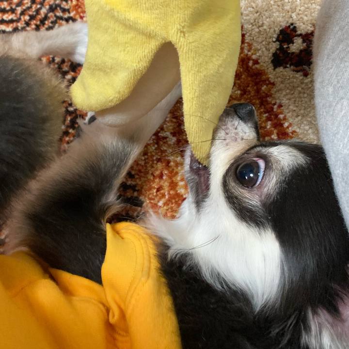 Ba3bfce1 ff77 45d6 b234 22eada1b7e54 1670687840555