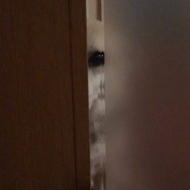 Ba3c3d07 6cfb 4e96 90cc c95cd8c28271 1538565069896